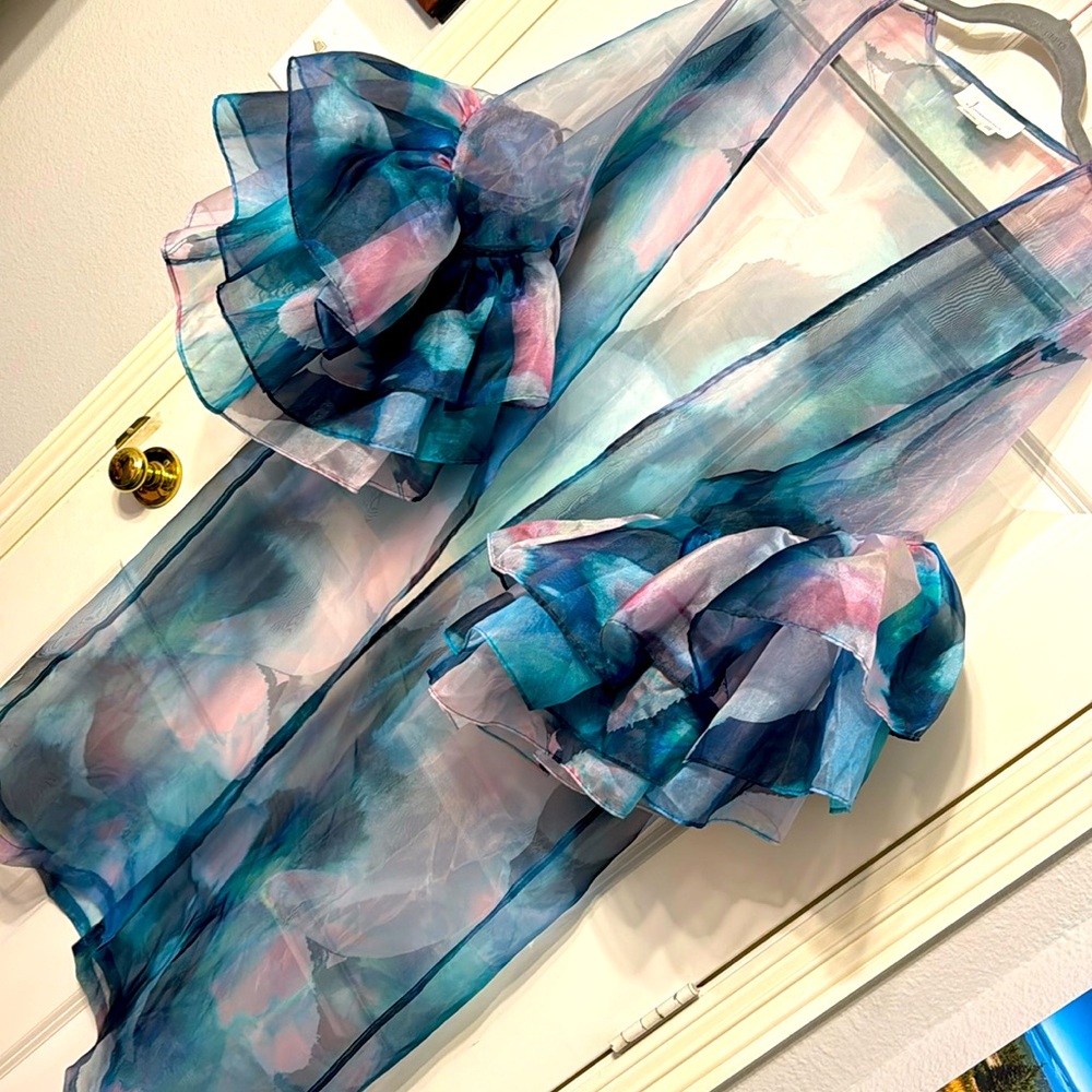 Beautiful sheer jacket with giant ruffle sleeves